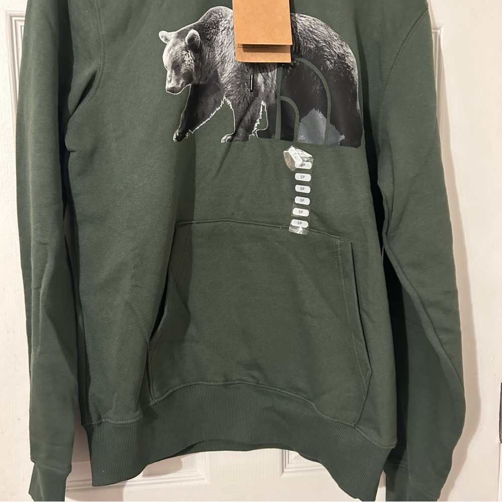 THE NORTH FACE TNF Bear Pullover Hoodie - Men's Thyme/TNF Black, S New - Picture 2 of 7